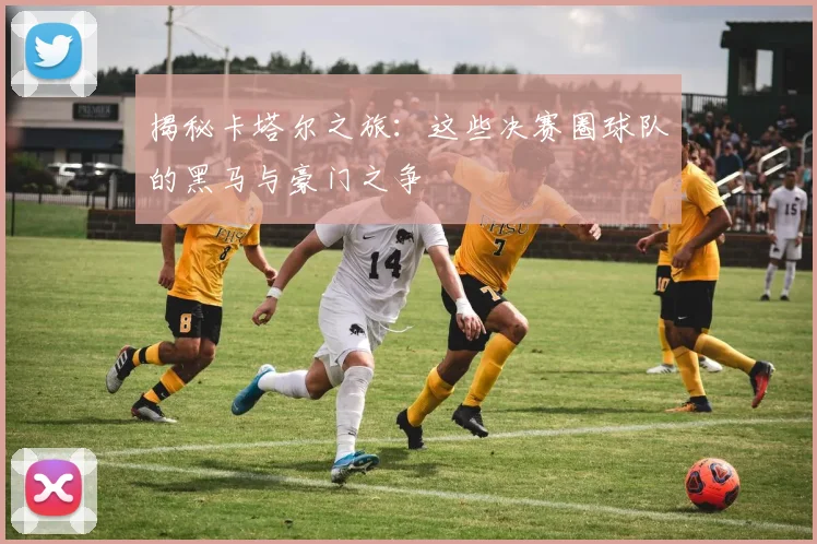 揭秘卡塔尔之旅：这些决赛圈球队的黑马与豪门之争