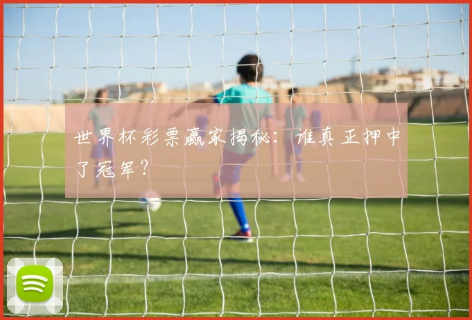 世界杯彩票赢家揭秘:谁真正押中了冠军?