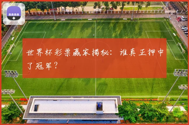 世界杯彩票赢家揭秘:谁真正押中了冠军?